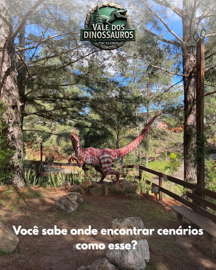 Prontos para embarcar em uma jornada pré-histórica em Mata/RS? 🦖🌲✨ Caminhar pelas nossas trilhas sob a sombr…